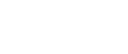 Festwave Institute