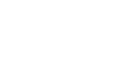 Festwave Institute